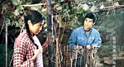 被爱情遗忘的角落演员表,经典角色背后的故事