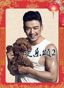 狗年明星,盘点那些与狗年明星的精彩瞬间