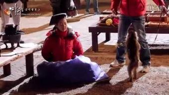 曹承佑 马医 花絮,曹承佑深情演绎，幕后花絮揭秘宫廷医术传奇