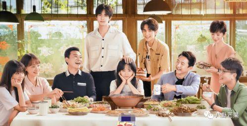 以家人之名芒果娱乐