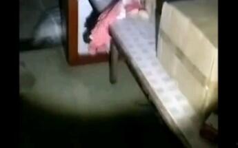 邪恶女主播视频,视频内容引发社会热议