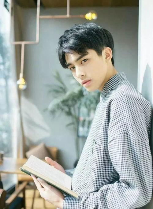 网红时的宋威龙,网红时代的璀璨新星