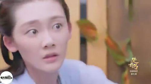 楚乔传小七扮演者苗苗个人资料,青春洋溢的影视新星